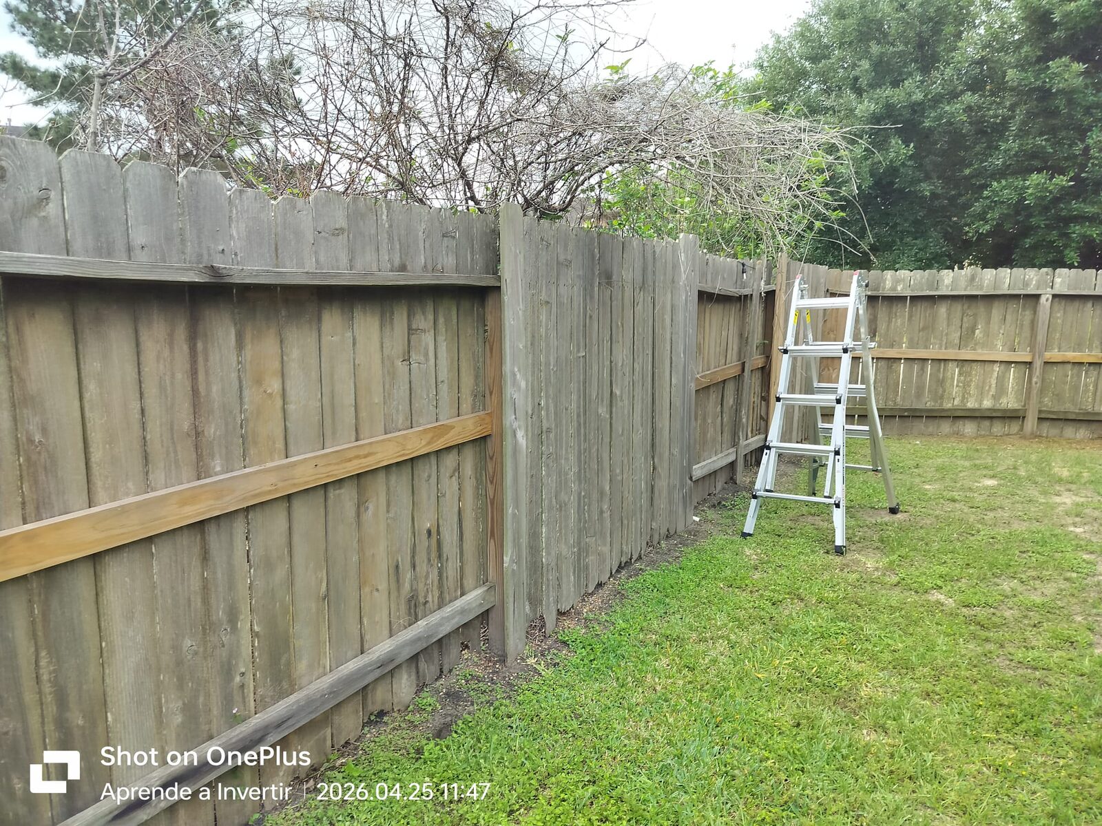 Outdoor & Yard Work