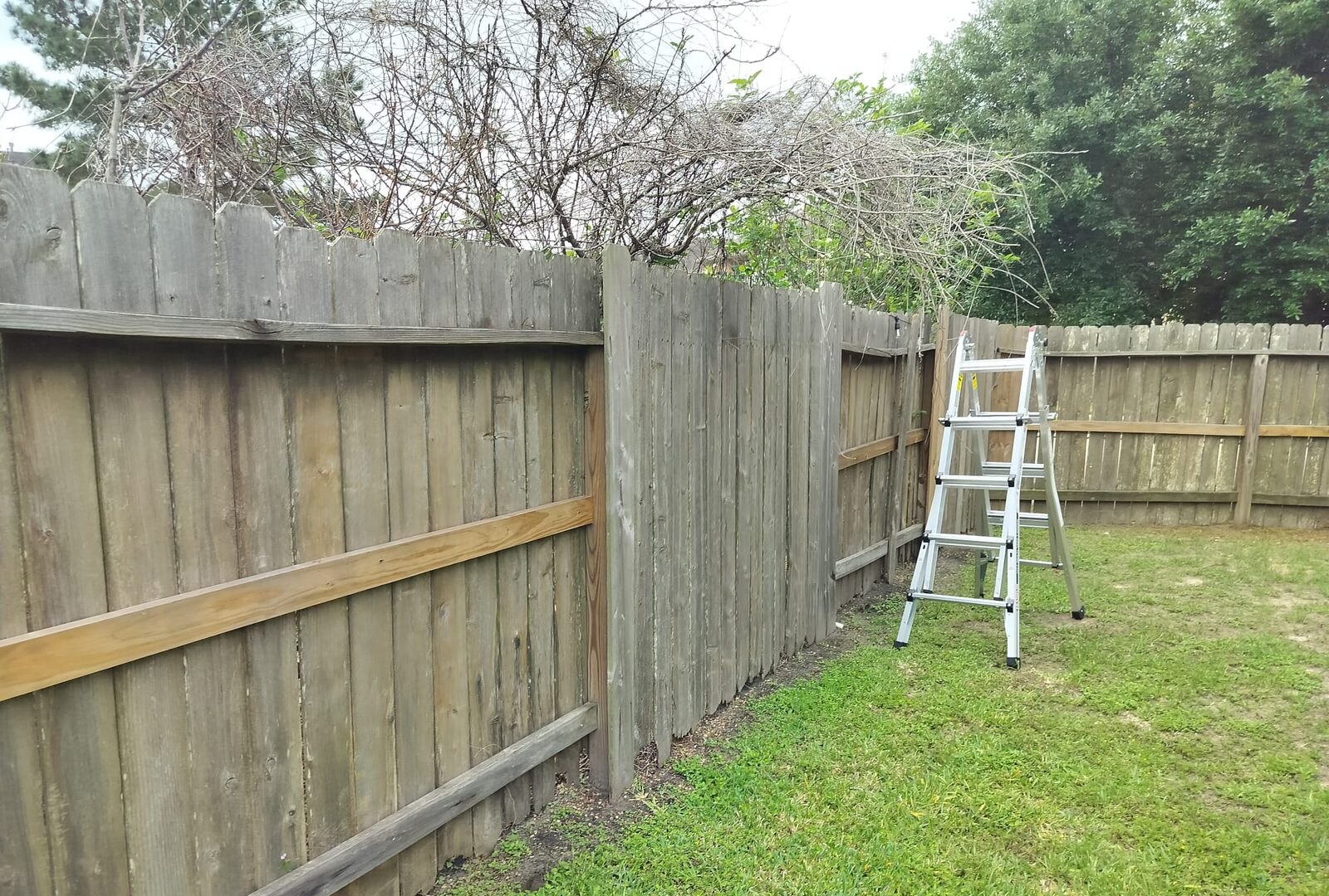 Outdoor & Yard Work