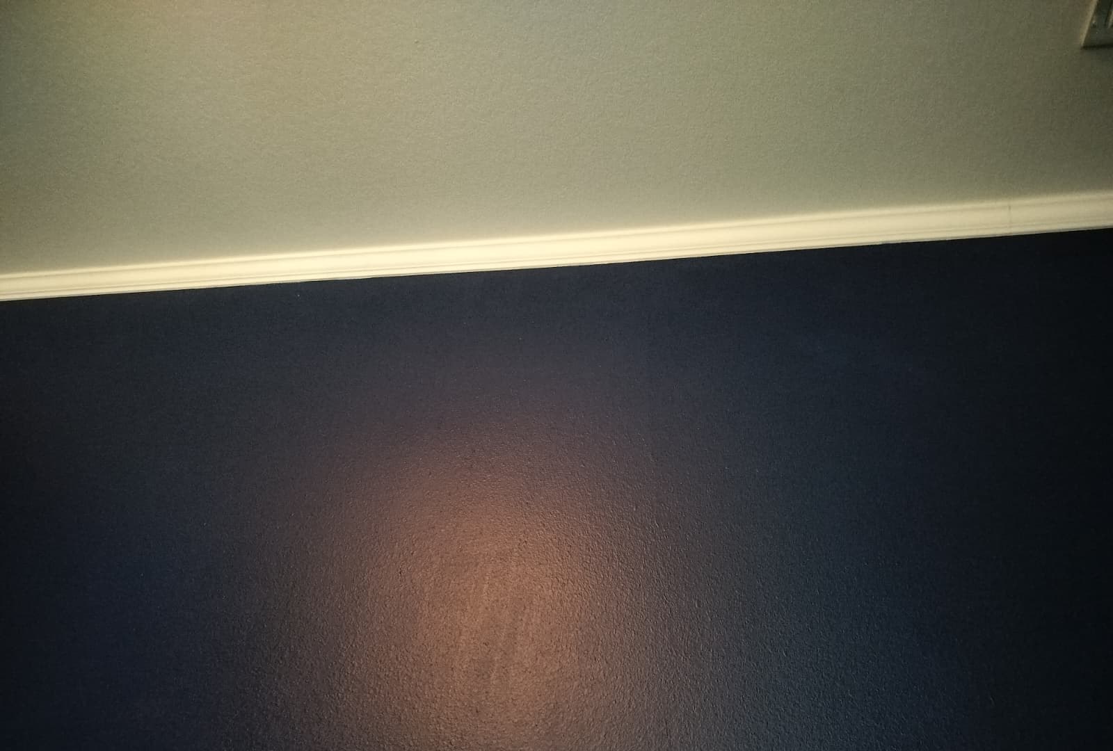 Painting & Finish Work