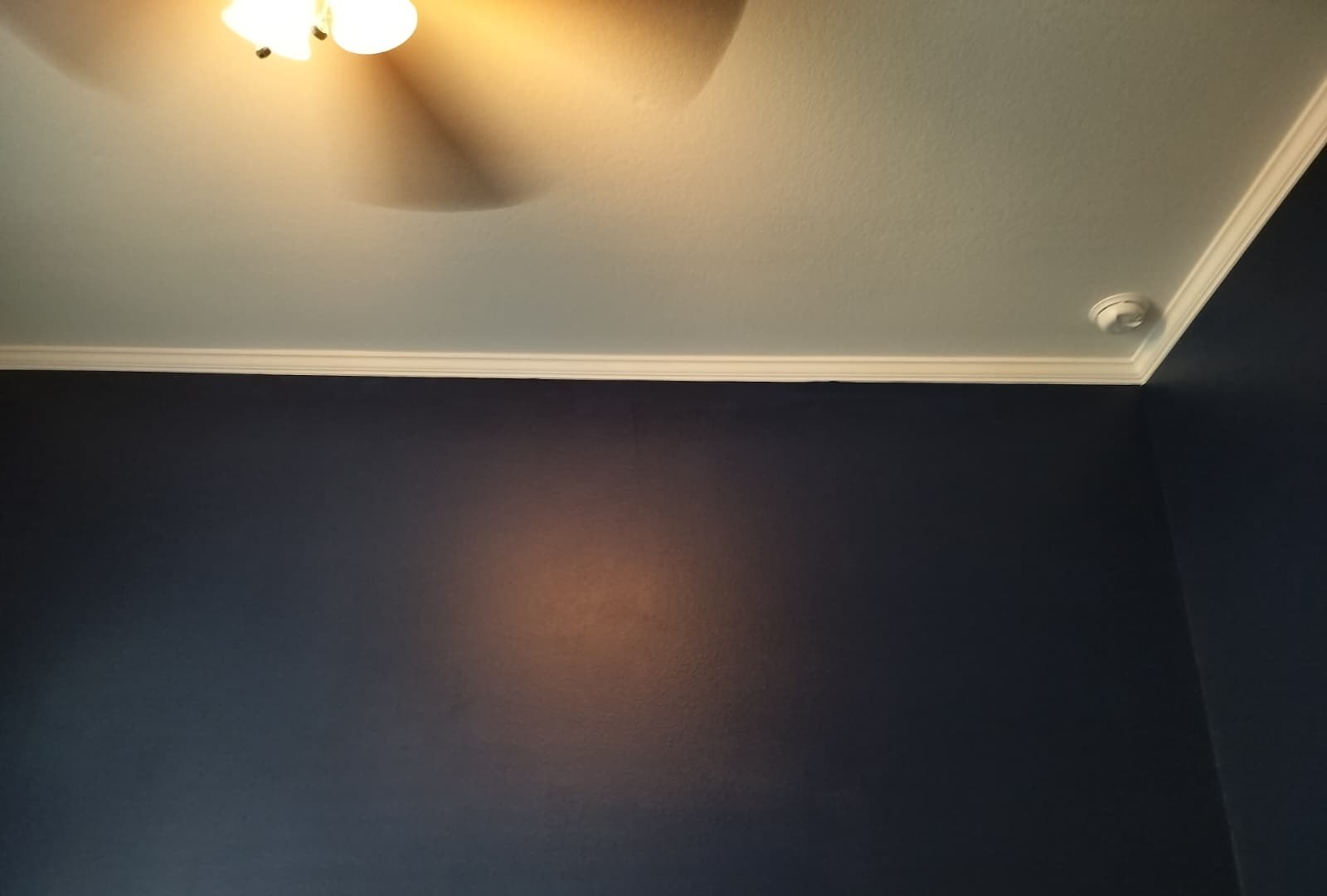 Painting & Finish Work