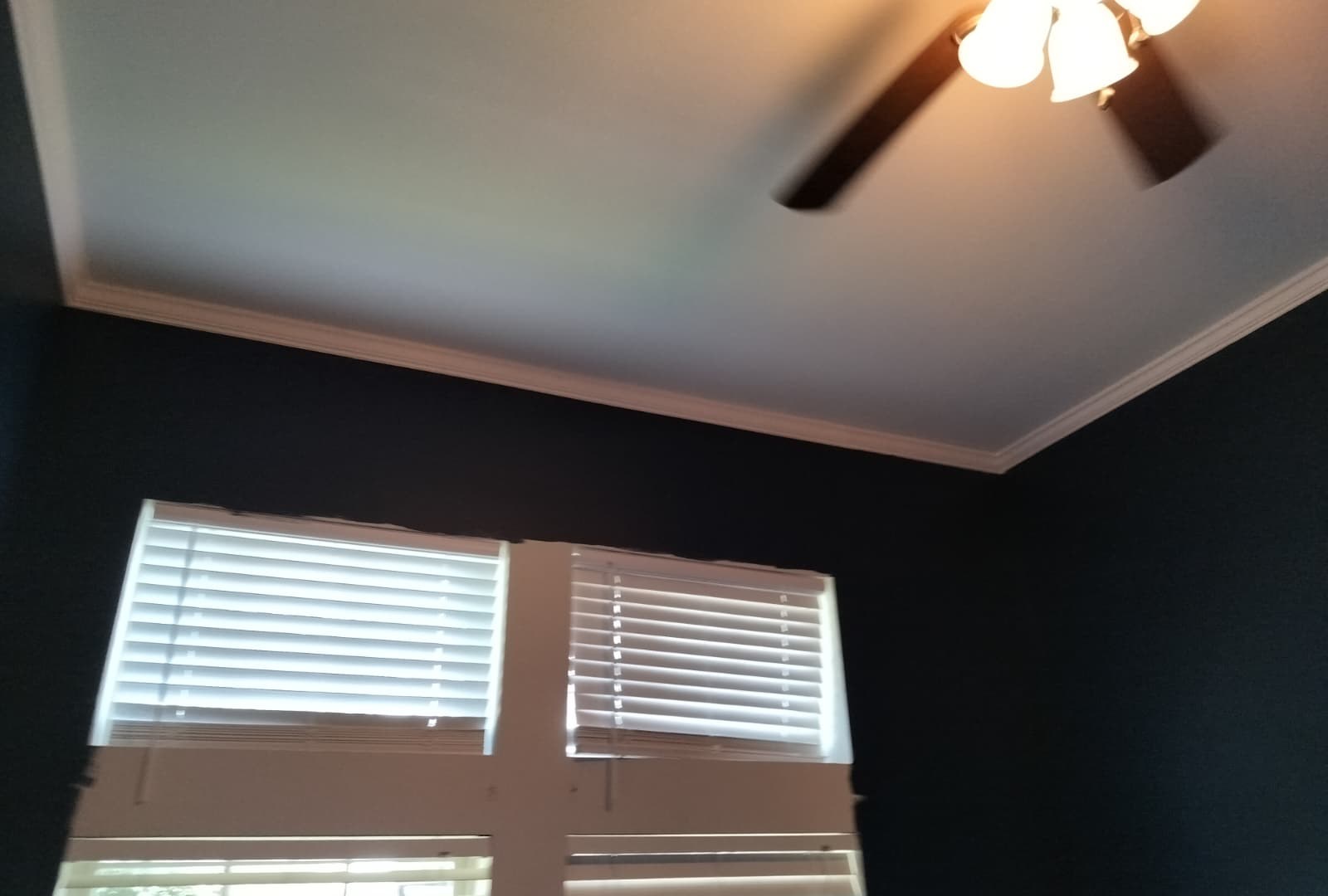 Painting & Finish Work